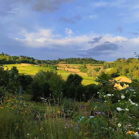 I Conti Della Serva Cinzano Екстериор снимка
